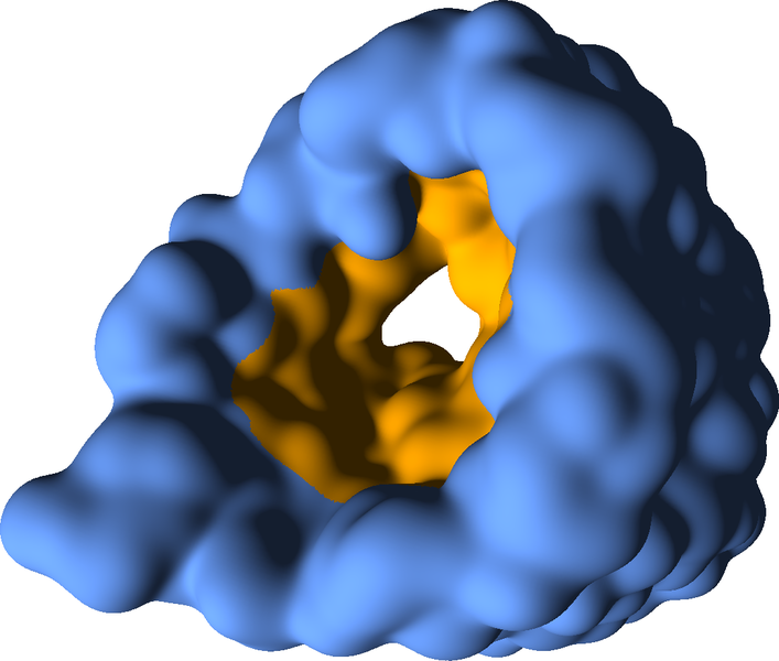 Abb. 7: Protein mit extrahiertem Kanal.