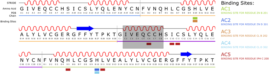 Abb. 10: Sequenzdiagramm eines Proteins mit Selektion.