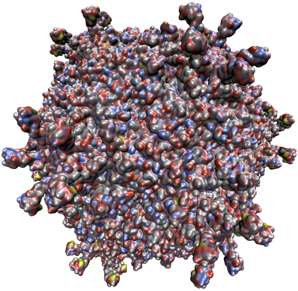 Fig. 4: Approximation of the SES of a Polio-Virus.