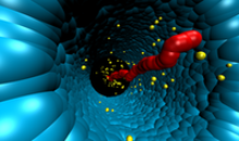 Modell eines DNA-Moleküls in einer Pore