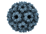 Proteinhülle eines Virus. Die Struktur der Hülle wird mittels Ambient Occlusion, einem nicht-photorealistischen Beleuchtungsverfahren, hervorgehoben.